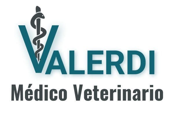 Foto de Dr. Eduardo L. Valerdi Médico Veterinario