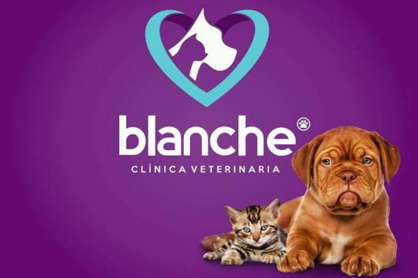 Foto de Dr. Carlos Blanche Médico Veterinario