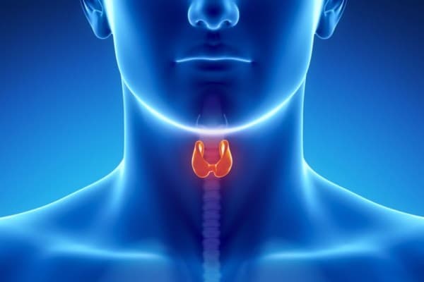 Foto de Dra. Ana Noguera Bravo Especialista en Endocrinología